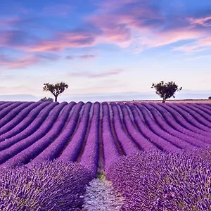 https://la-maison-des-04500.fr-provencehotel.com